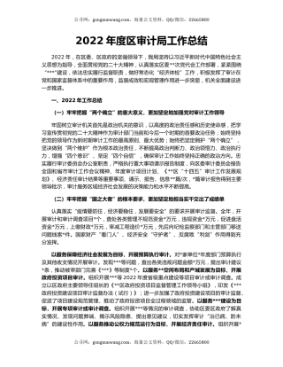 2022年度区审计局工作总结