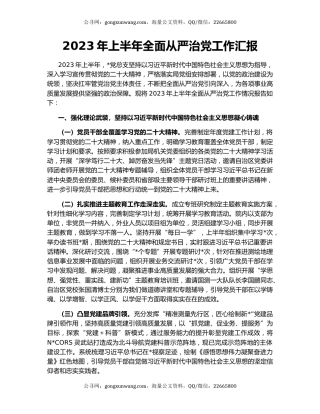 2023年上半年全面从严治党工作汇报