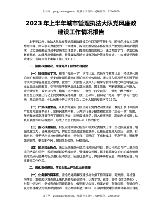 2023年上半年城市管理执法大队党风廉政建设工作情况报告