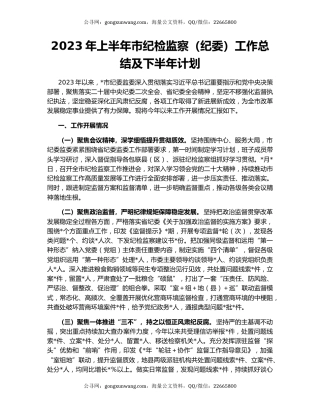 2023年上半年市纪检监察（纪委）工作总结及下半年计划