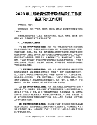 2023年主题教育巡回督导组阶段性工作报告及下步工作打算