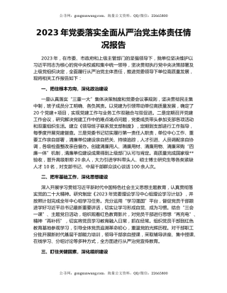 2023年党委落实全面从严治党主体责任情况报告