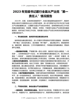 2023年党组书记履行全面从严治党“第一责任人”情况报告