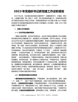 2023年党组织书记抓党建工作述职报告