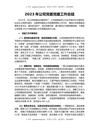 2023年公司党委党建工作总结