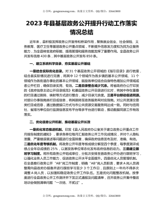2023年县基层政务公开提升行动工作落实情况总结