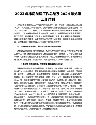 2023年市局党建工作总结及2024年党建工作计划