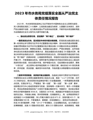 2023年市水务局党组落实全面从严治党主体责任情况报告