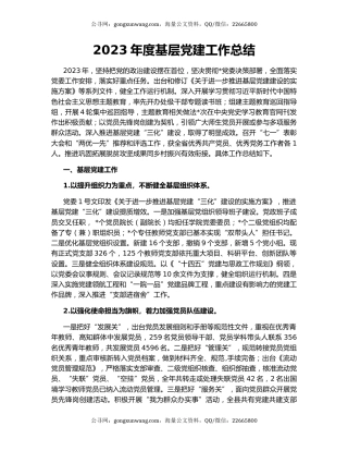 2023年度基层党建工作总结