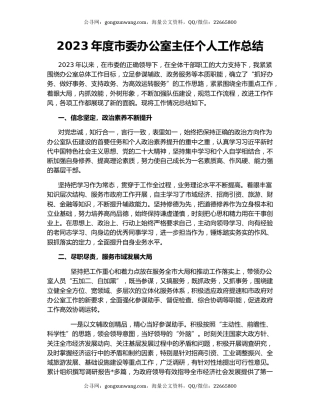 2023年度市委办公室主任个人工作总结