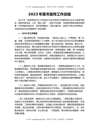 2023年某市宣传工作总结