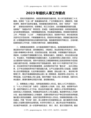 2023年组织人事工作要点