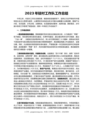 2023年驻村工作队工作总结