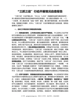 “三抓三促”行动开展情况自查报告