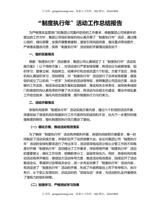 “制度执行年”活动工作总结报告