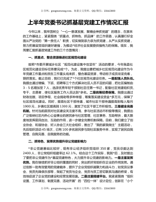 上半年党委书记抓基层党建工作情况汇报