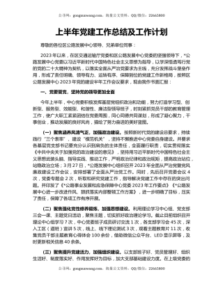 上半年党建工作总结及工作计划