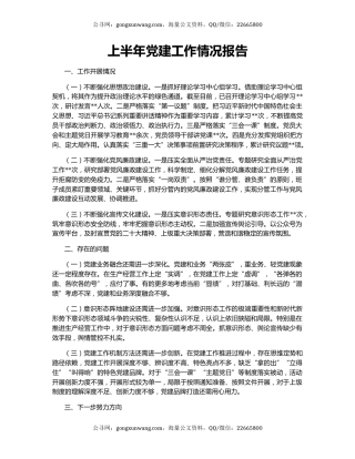 上半年党建工作情况报告