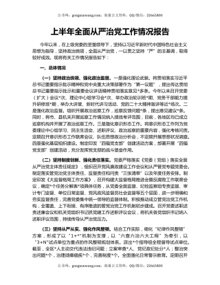 上半年全面从严治党工作情况报告