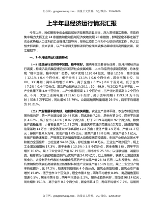 上半年县经济运行情况汇报
