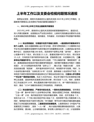 上半年工作以及支委会检视问题情况通报