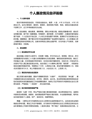 个人廉政情况自评画像