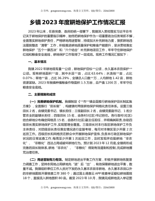 乡镇2023年度耕地保护工作情况汇报