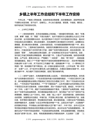 乡镇上半年工作总结和下半年工作安排