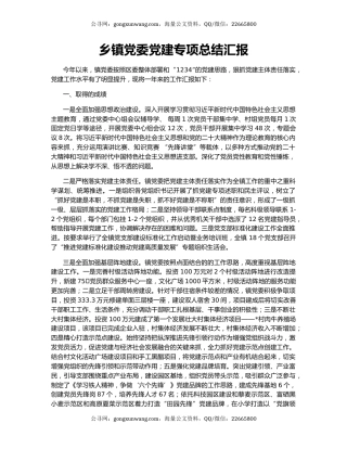 乡镇党委党建专项总结汇报