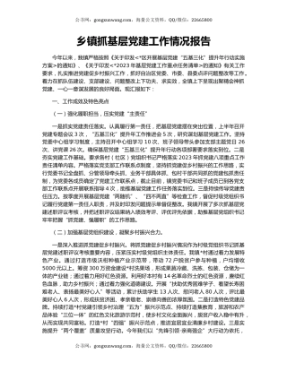 乡镇抓基层党建工作情况报告