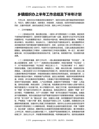 乡镇组织办上半年工作总结及下半年计划