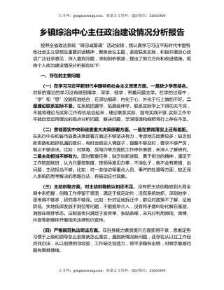 乡镇综治中心主任政治建设情况分析报告