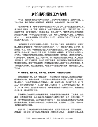 乡长挂职锻炼工作总结