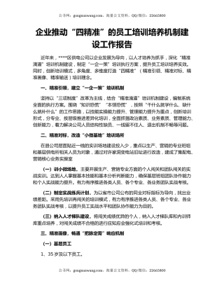 企业推动“四精准”的员工培训培养机制建设工作报告