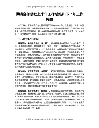 供销合作总社上半年工作总结和下半年工作思路