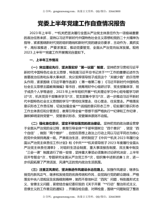 党委上半年党建工作自查情况报告