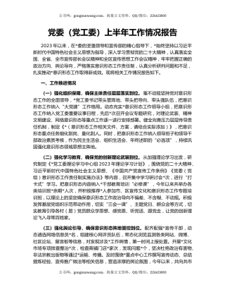 党委（党工委）上半年工作情况报告