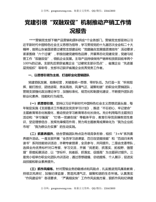 党建引领“双融双促”机制推动产销工作情况报告