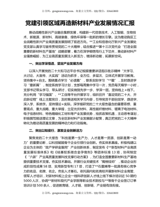 党建引领区域再造新材料产业发展情况汇报
