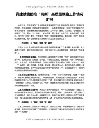 党建赋能助推“两新”高质量领跑工作情况汇报