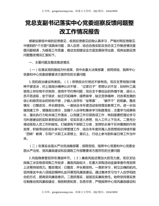 党总支副书记落实中心党委巡察反馈问题整改工作情况报告