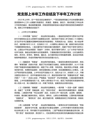 党支部上半年工作总结及下半年工作计划
