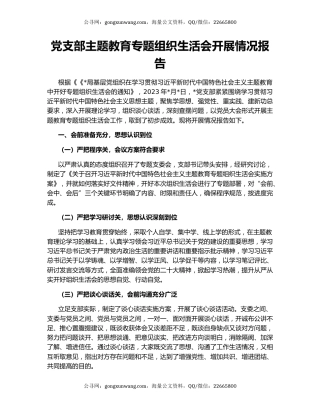党支部主题教育专题组织生活会开展情况报告