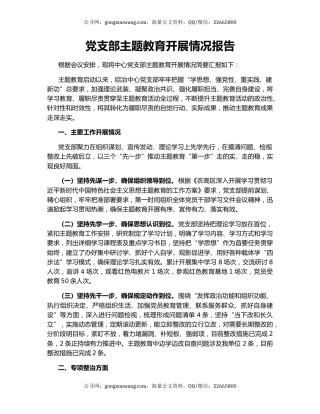 党支部主题教育开展情况报告
