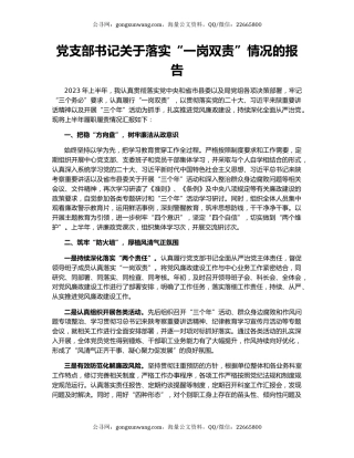 党支部书记关于落实“一岗双责”情况的报告