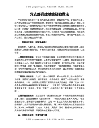 党支部党建赋能经验做法