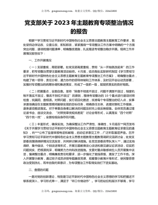 党支部关于2023年主题教育专项整治情况的报告