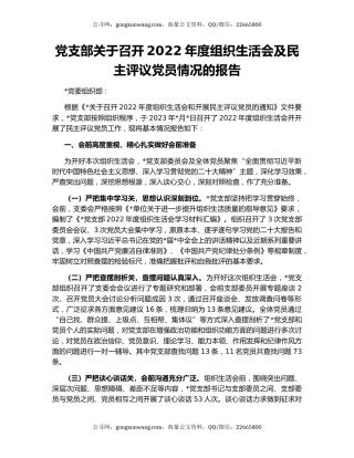 党支部关于召开2022年度组织生活会及民主评议党员情况的报告