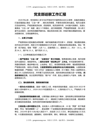 党支部巡察工作汇报