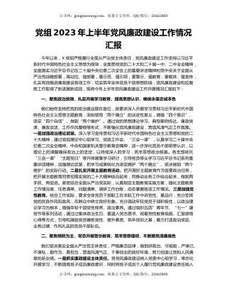 党组2023年上半年党风廉政建设工作情况汇报